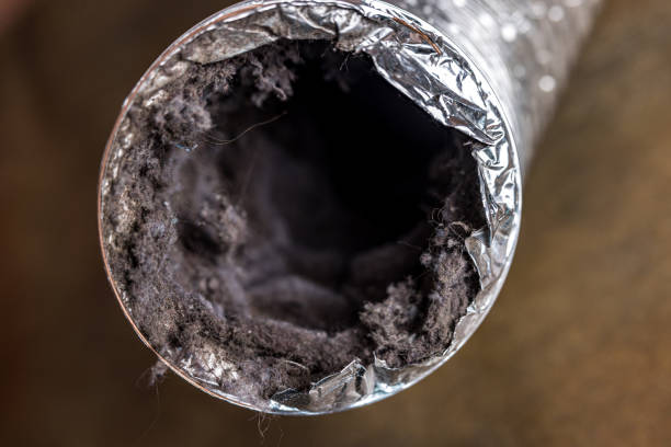 Best Local Air Duct Cleaning Services  in Jacksonville, NC